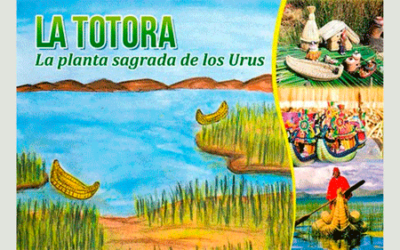 La Totora, la planta sagrada de los Urus