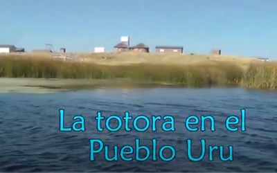 La totora en el Pueblo Uru